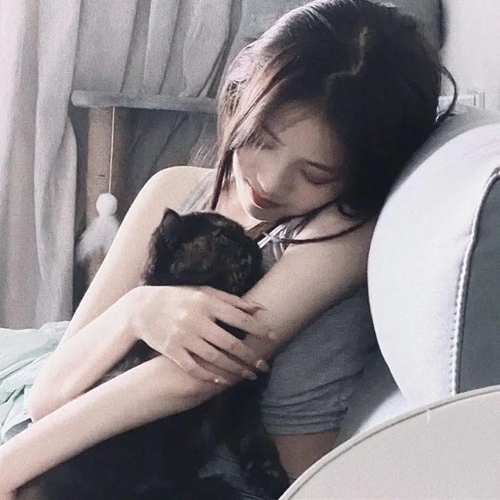 青春迷航
