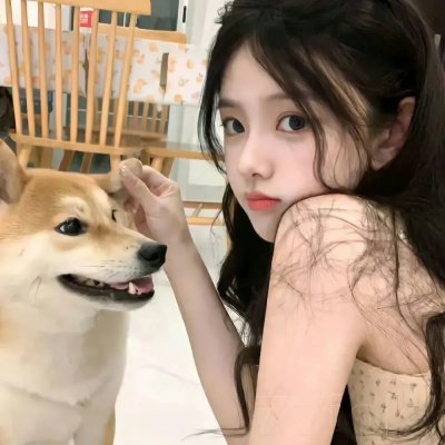 完美叛侣粤语